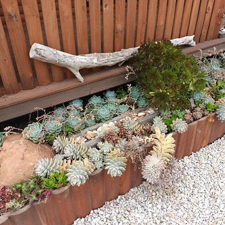 Chameleon Lodge Colchester Bagian luar foto