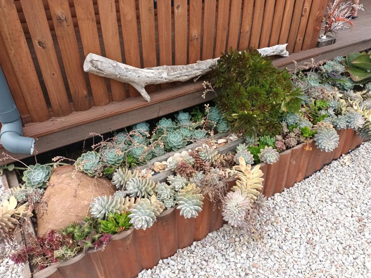 Chameleon Lodge Colchester Bagian luar foto