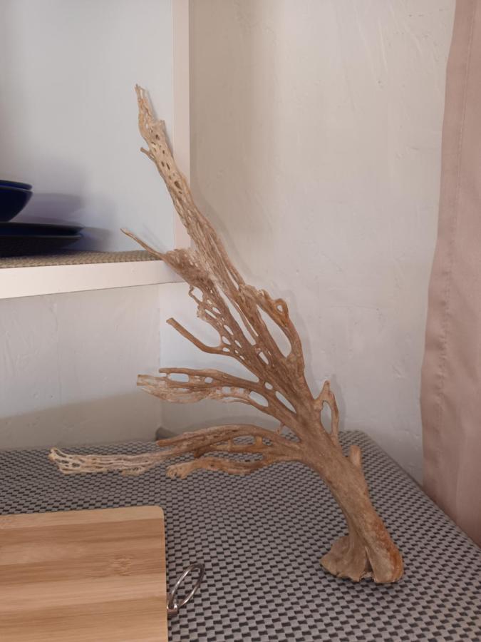 Chameleon Lodge Colchester Bagian luar foto