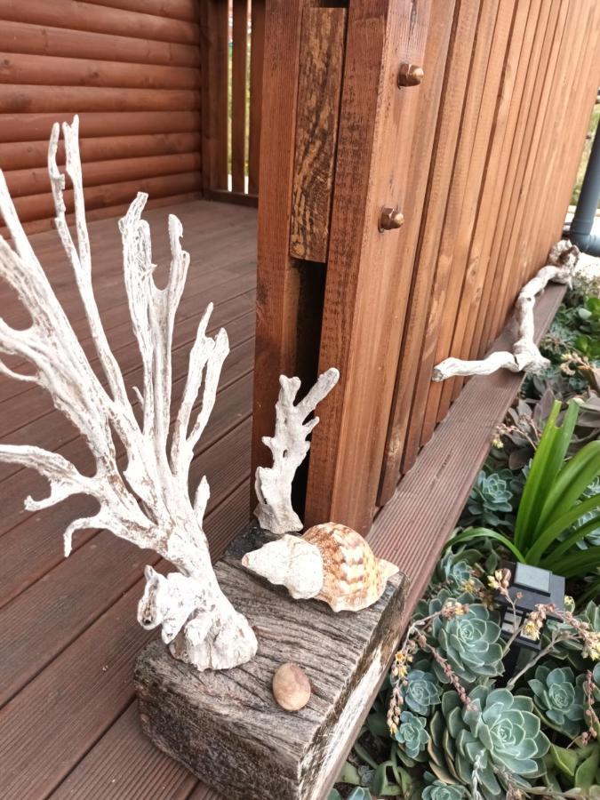Chameleon Lodge Colchester Bagian luar foto