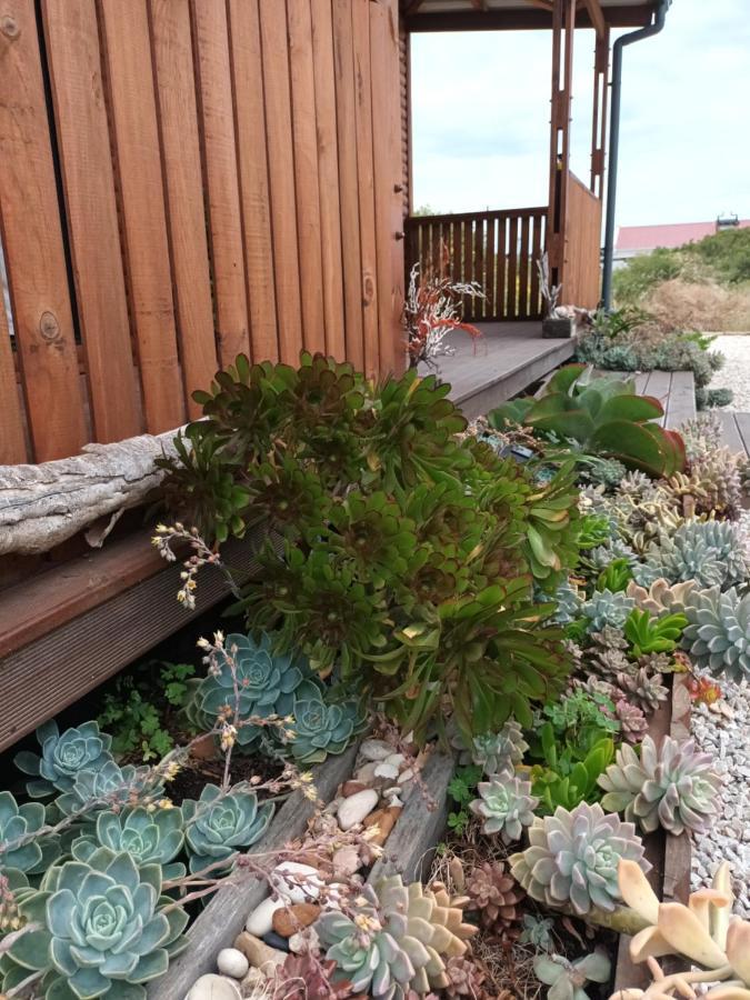 Chameleon Lodge Colchester Bagian luar foto